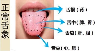 正常舌象与望舌的意义